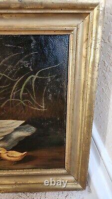 ANTIQUE OIL PAINTING Board In Style Of John Frederick Herring Sr Ducks Ducklings