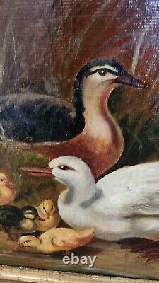 ANTIQUE OIL PAINTING Board In Style Of John Frederick Herring Sr Ducks Ducklings