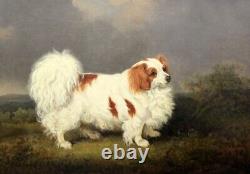 Handmade antique oil painting art animal Portrait dog on canvas 24x36