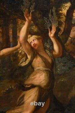 Large Painting Antique Apollo Fangs Oil on Canvas Xvii Century Old Master