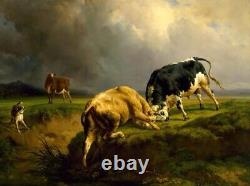 Old Master-Art Antique Oil Painting animal Portrait Cow on canvas 30x40