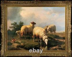 Old Master-Art Antique Oil Painting animal Portrait sheep on canvas 30x40