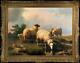 Old Master-art Antique Oil Painting Animal Portrait Sheep On Canvas 30x40