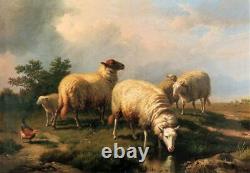 Old Master-Art Antique Oil Painting animal Portrait sheep on canvas 30x40