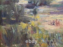 RARE Fine Antique Early California Plein Air Landscape Oil Painting AHLGREN