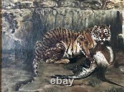 1909 Tigres Antiques Originaux Dans L'ancienne Peinture À L'huile De Ruines