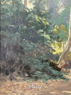 Beau ancien tableau à l'huile de paysage de Californie en plein air, ADDISON JOHNSON