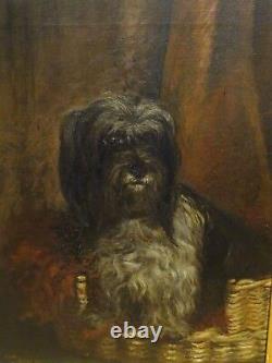 Grand 19ème Siècle Anglais Tibétain Terrier Dog Portrait Antique Peinture À L'huile