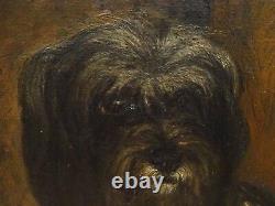 Grand 19ème Siècle Anglais Tibétain Terrier Dog Portrait Antique Peinture À L'huile